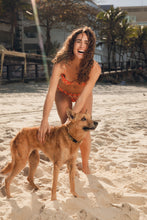 Carregar imagem no visualizador da galeria, Image 14: Rio De Sol Calcinha Bottom Maracai Essential