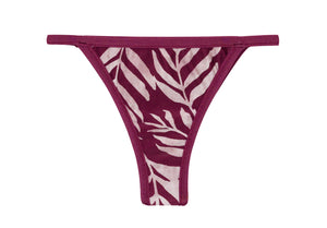 Product Front: Rio De Sol Calcinha Bottom Palms-Vine California